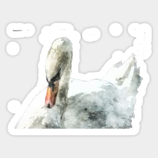 Swan of the canals in watercolour Sticker